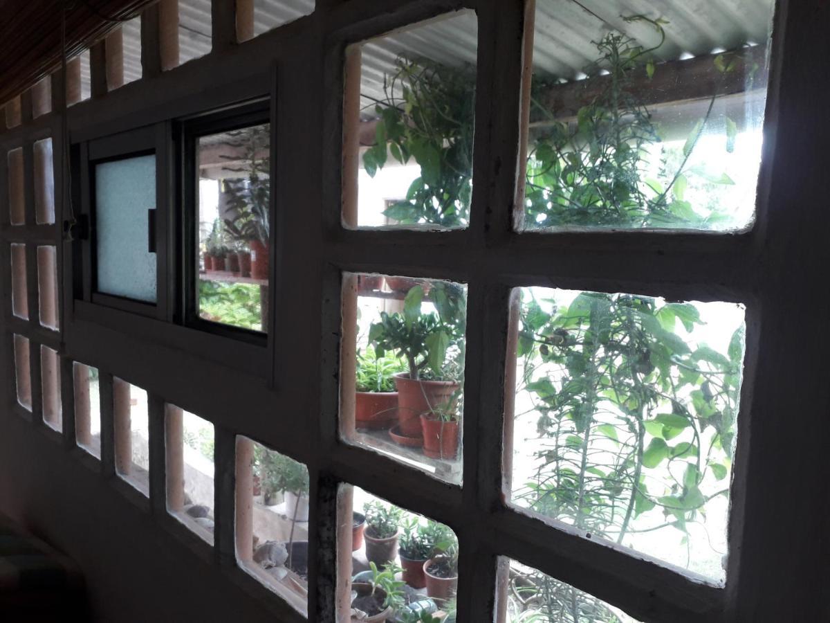 Hostel La Cruz Del Sur Ла Палома Екстериор снимка