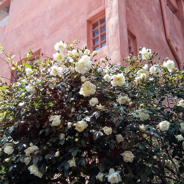 Hostel La Cruz Del Sur Ла Палома Екстериор снимка