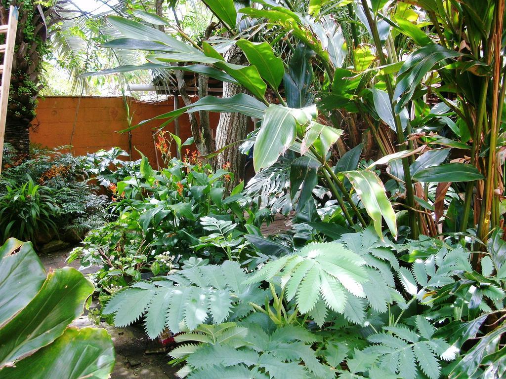 Hostel La Cruz Del Sur Ла Палома Екстериор снимка