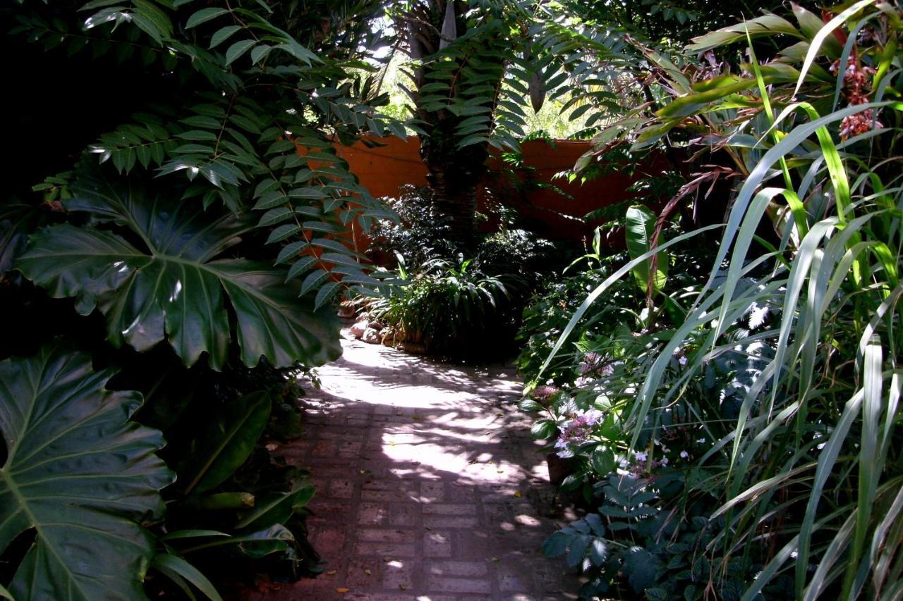 Hostel La Cruz Del Sur Ла Палома Екстериор снимка